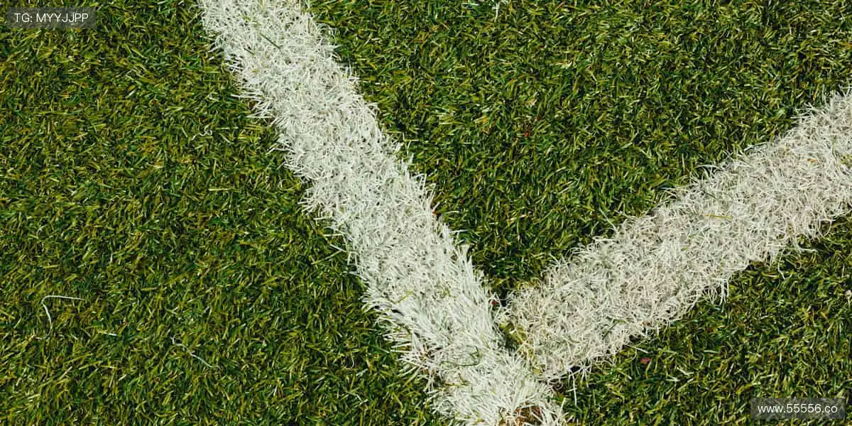 🎁把赛场带回家,让热爱触手可及!